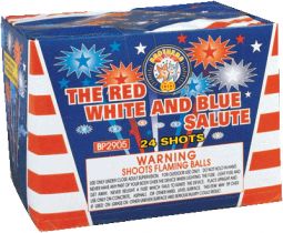 BROTHERS RED WHITE AND BLUE SALUTE- Case 12/1